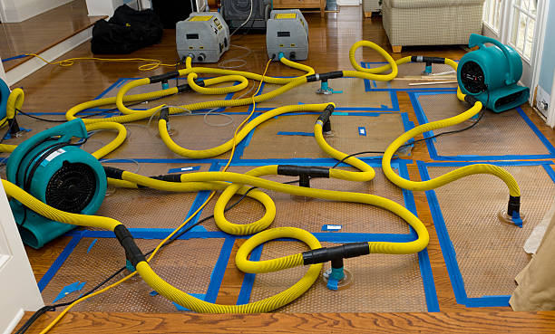 Professional Storm Water Damage Restoration technician working in Stratford, WA